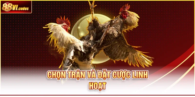Chọn trận và đặt cược linh hoạt