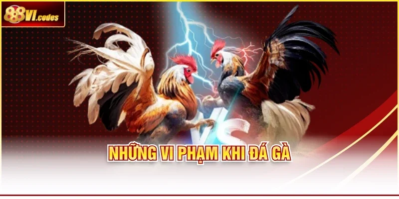 Những vi phạm khi đá gà